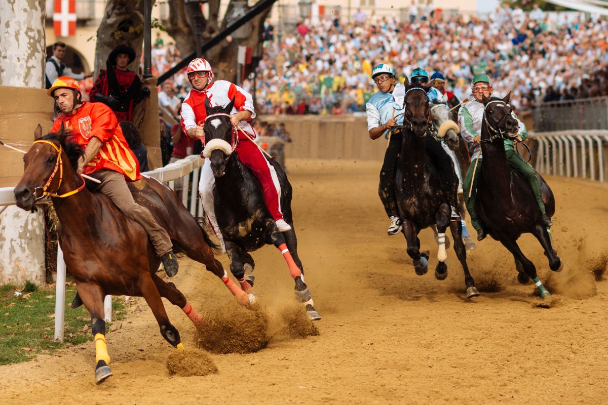 Cheltenham Festival Luxury Chauffeur Service